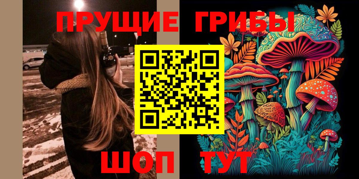 Галлюциногенные грибы мицелий  наркота  Рассказово  Псилоцибиновые грибы прущие грибы  Вход с VPN 